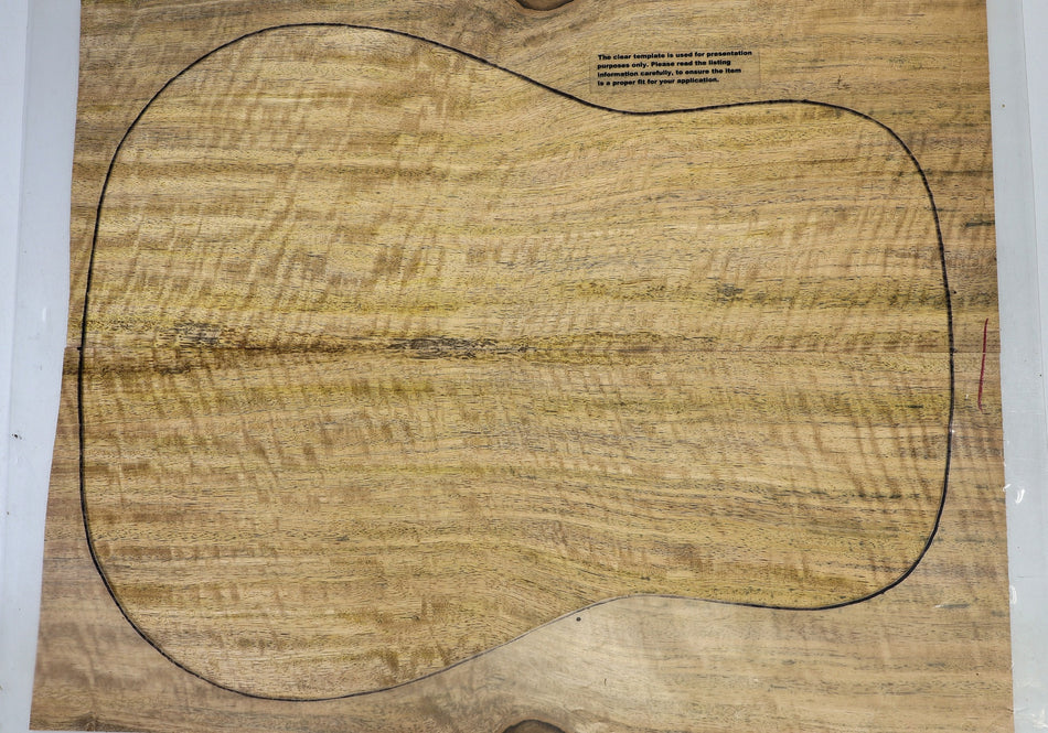 Back & Side set Mango, Dreadnought (HIGH FIGURE) - Stock# 6-5841