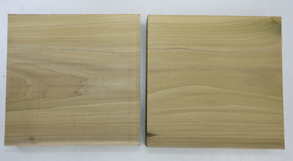 Magnolia Squares, 2 pieces 9" x 9" x 1.7" - Stock# 6-6263