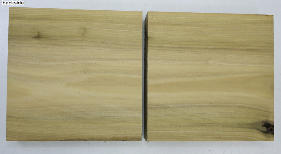 Magnolia Squares, 2 pieces 9" x 9" x 1.7" - Stock# 6-6263