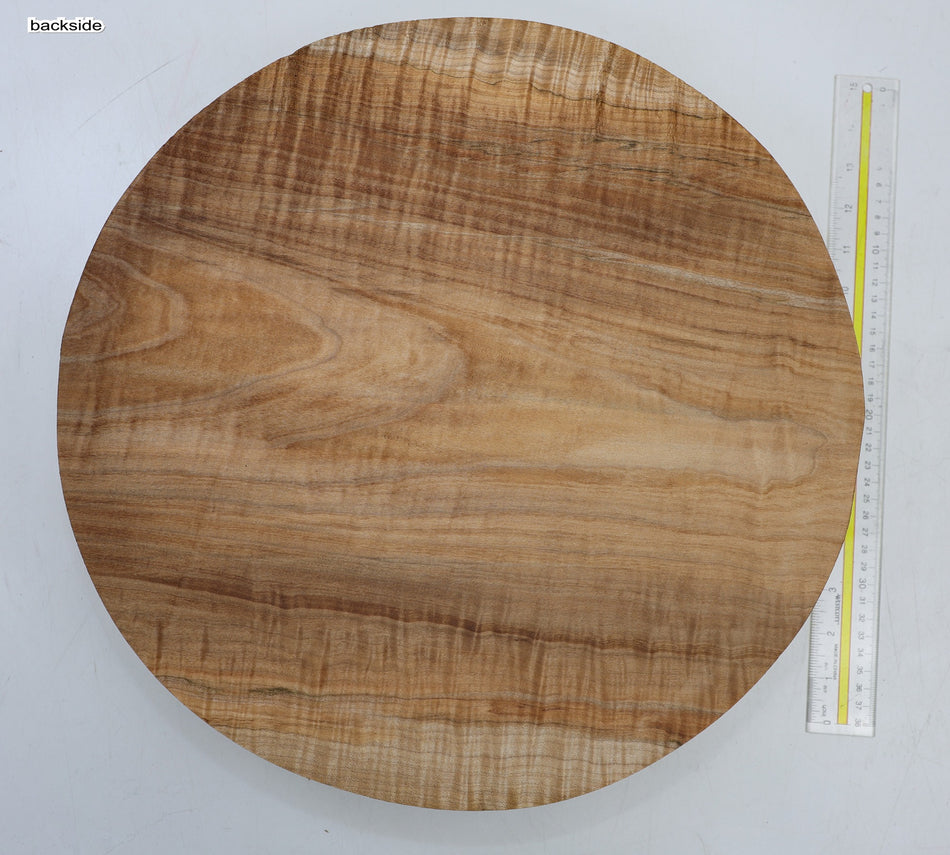 Maple Round 16" diameter x 3.5" (GREAT FIGURE) - Stock# 6-6266