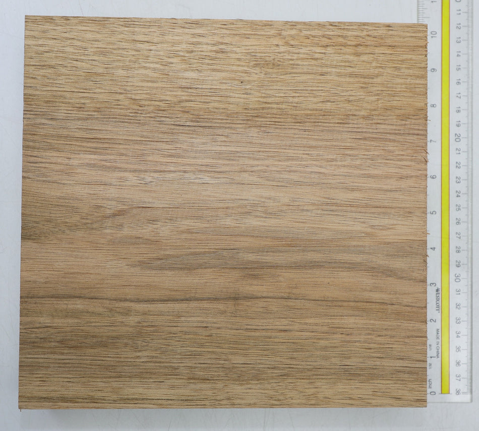 Walnut (Butternut) Square 9.5" diameter x 2" - Stock# 6-6306
