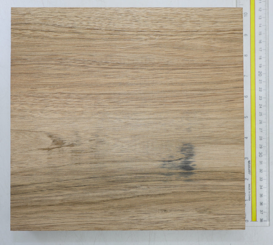 Walnut (Butternut) Square 9.5" diameter x 2" - Stock# 6-6306