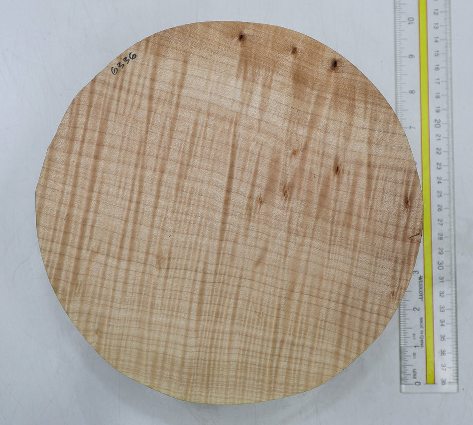 Maple Flame Round 9" diameter x 2.7" (GREAT FIGURE) - Stock# 6-6336