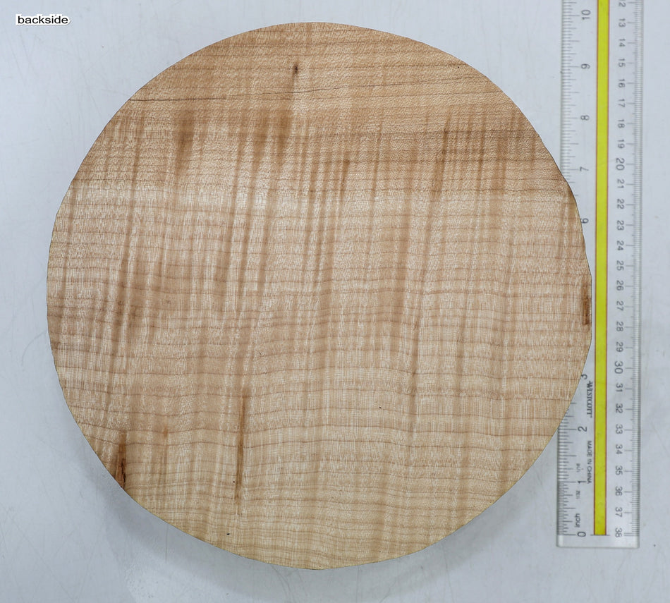 Maple Flame Round 9" diameter x 2.7" (GREAT FIGURE) - Stock# 6-6336