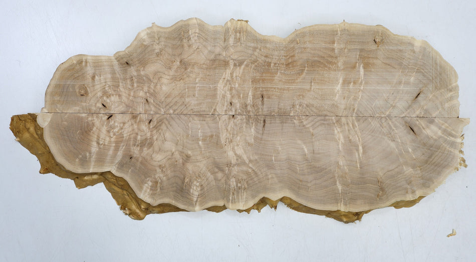 Maple Burl, 2 pieces totaling 19.5" x 8" x 1.4" - Stock# 6-6703