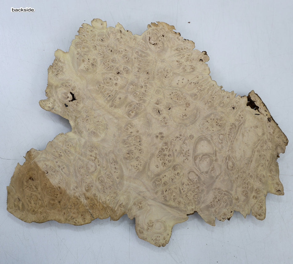 Maple Burl Cap 11" x 9" x 1.2" (PREMIUM FIGURE) - Stock# 6-6731