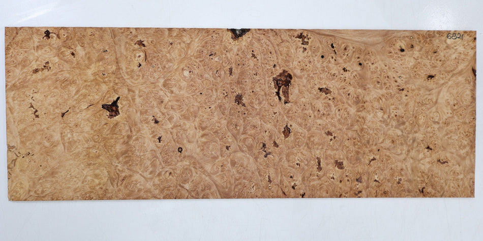 Maple Burl Pickguard, 0.25" x 7.2" x 20" (HIGH FIGURE) - Stock# 6-6821