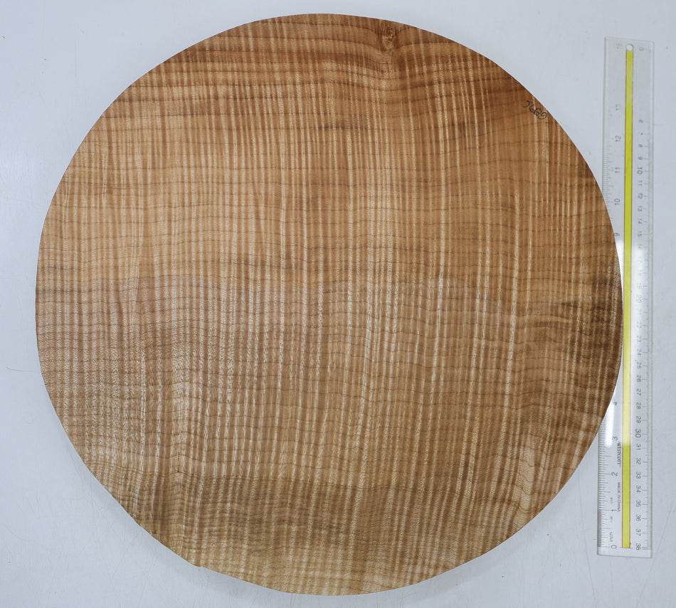 Maple Flame Round 15" diameter x 2.3" (PREMIUM FIGURE) - Stock# 6-6896