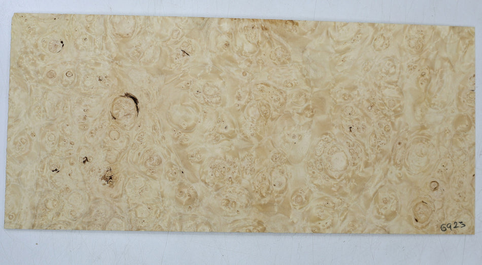 Maple Burl Pickguard, 0.22" x 7" x 15.8" (HIGH FIGURE) - Stock# 6-6923