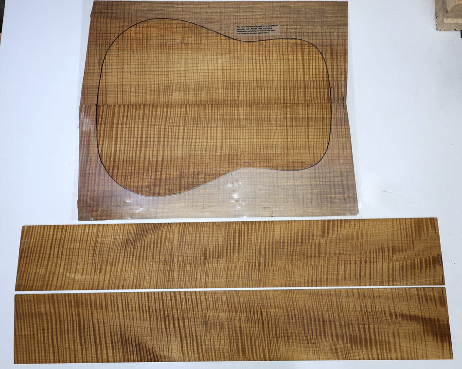 Back & Side set Torrefied Maple Flame, Dreadnought (+HIGH FIGURE +4★)- Stock# 6-6939