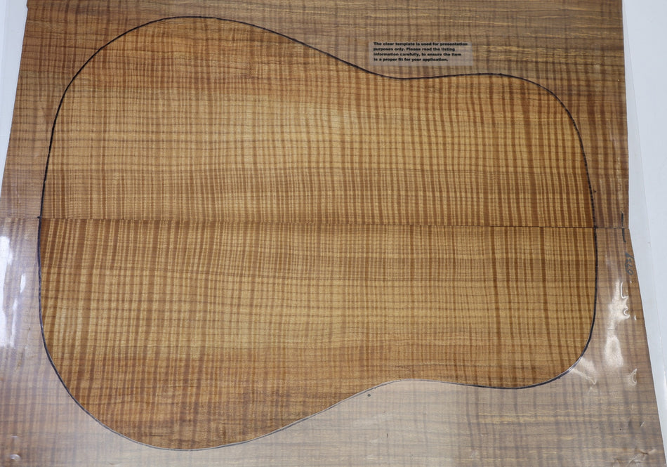 Back & Side set Torrefied Maple Flame, Dreadnought (+HIGH FIGURE +4★)- Stock# 6-6939