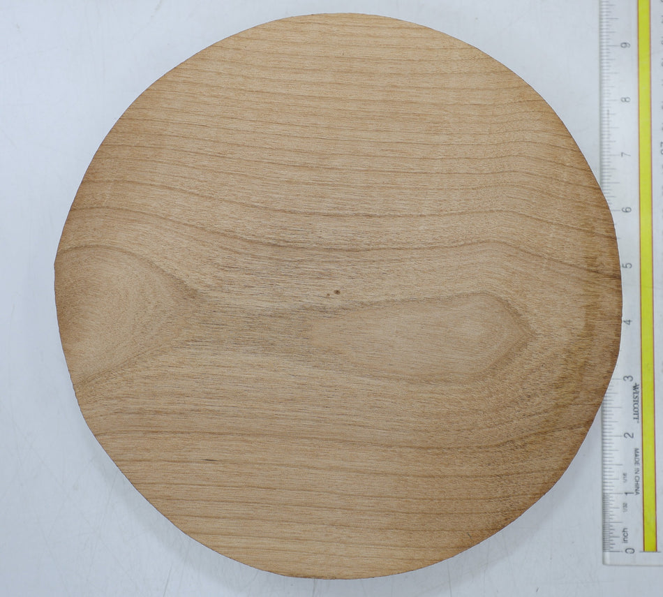 Alder Round 9" diameter x 1.9" - Stock# 6-6966