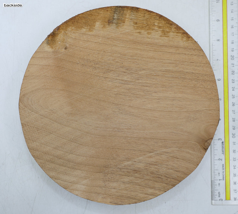 Alder Round 9" diameter x 1.9" - Stock# 6-6966