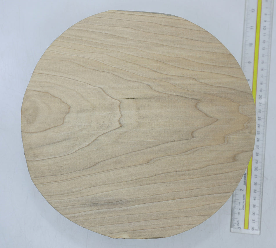 Magnolia Round 12" diameter x 4" - Stock# 6-6997