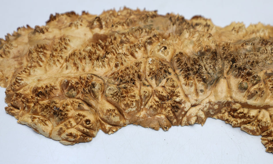 Maple Burl Cap 17" x 9" x 1.5" (HIGH FIGURE) - Stock# 6-7012