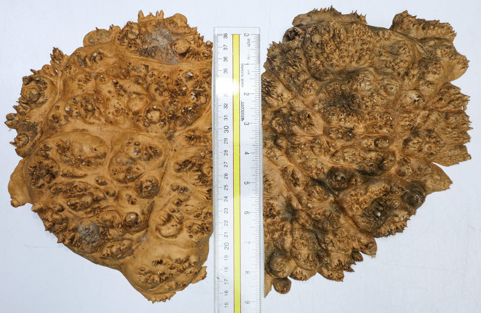 Maple Burl Caps, 2 pieces 9" x 6" x 1" each (PREMIUM FIGURE) - Stock# 6-7027