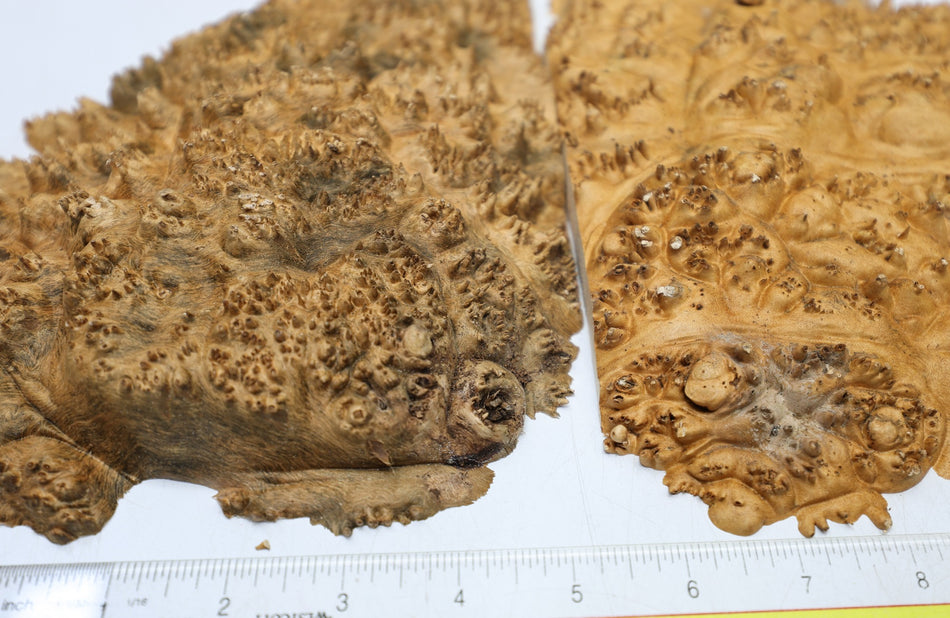 Maple Burl Caps, 2 pieces 9" x 6" x 1" each (PREMIUM FIGURE) - Stock# 6-7027