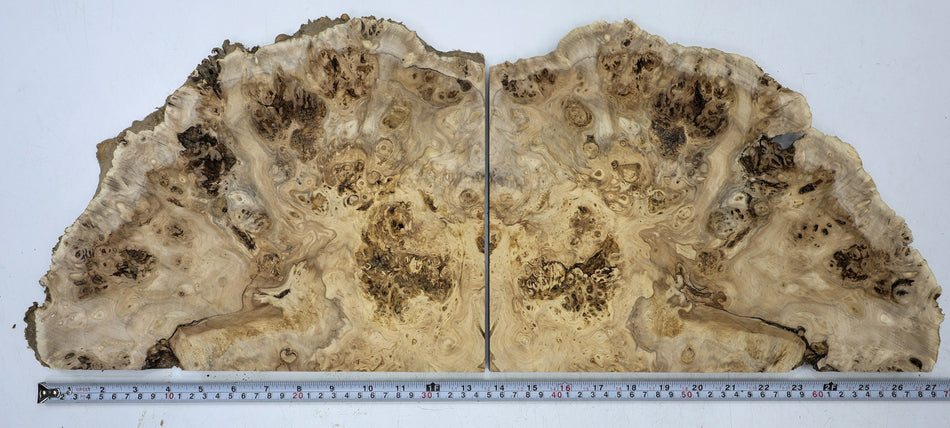 Cottonwood Burl, 2 pieces totaling 13" x 10" x 0.9" (GREAT FIGURE) - Stock# 6-7038