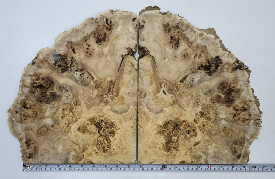 Cottonwood Burl, 2 pieces totaling 13" x 10" x 0.9" (GREAT FIGURE) - Stock# 6-7038