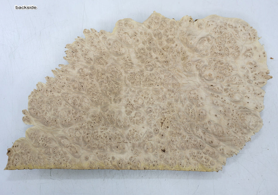 Maple Burl Cap 13" x 8" x 1.5" (PREMIUM FIGURE) - Stock# 6-7045