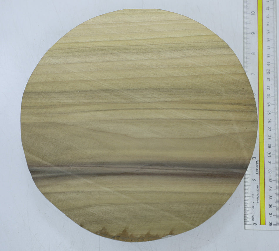 Magnolia Round 9" diameter x 3.75" - Stock# 6-7066