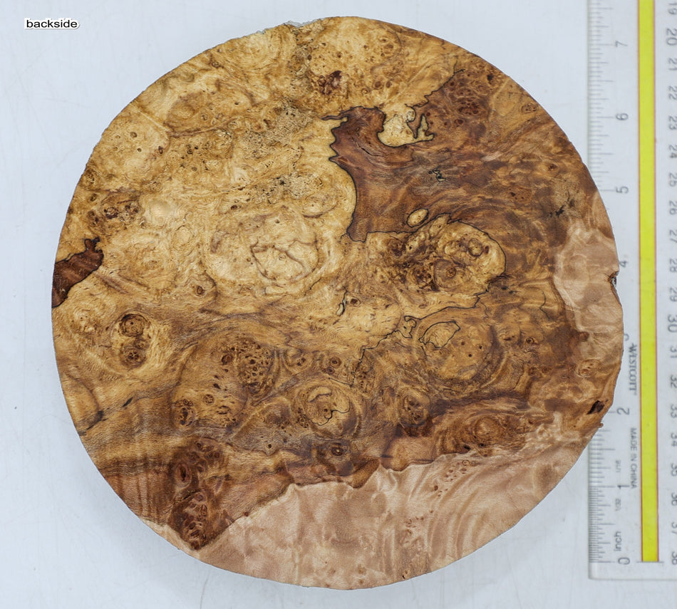 Maple Burl Round 7" diameter x 2" (HIGH FIGURE) - Stock# 6-7077