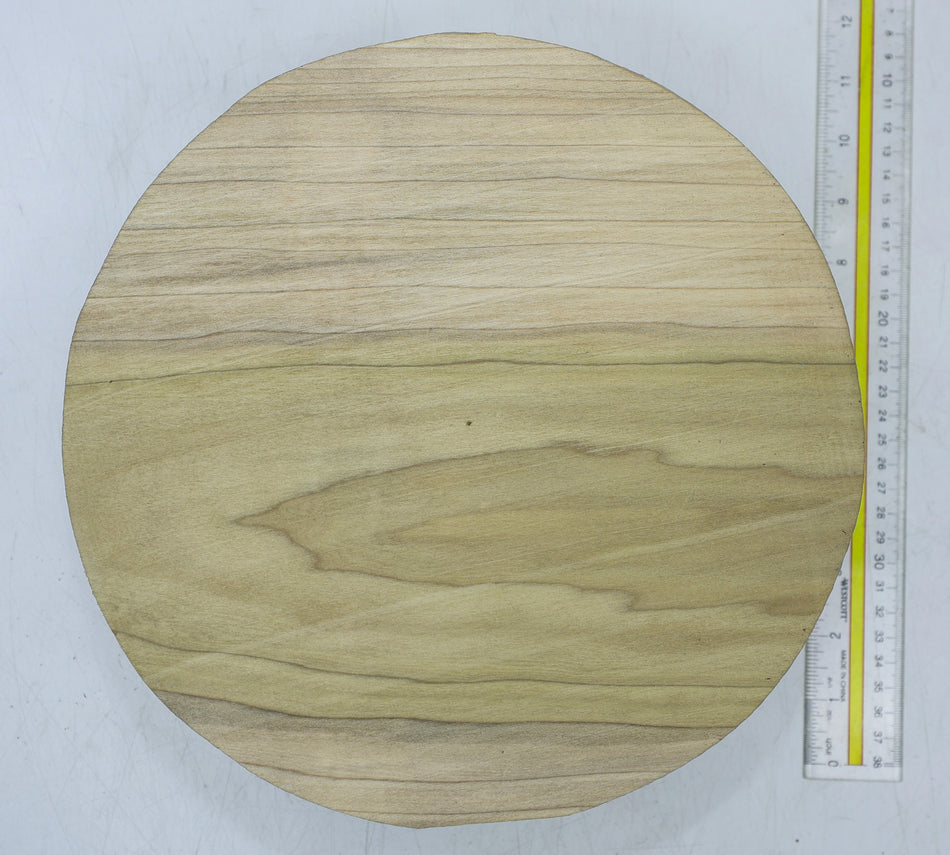 Magnolia Round 10" diameter x 3.85" - Stock# 6-7083