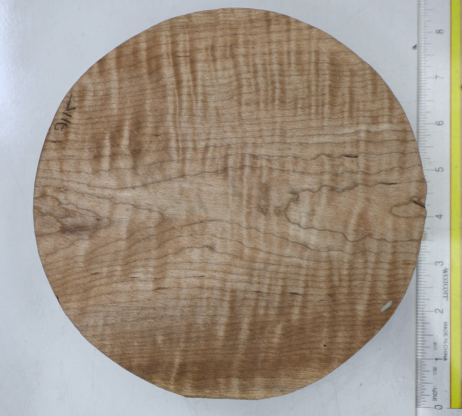Red Maple Round 7.5" diameter x 2" - Stock# 6-7115