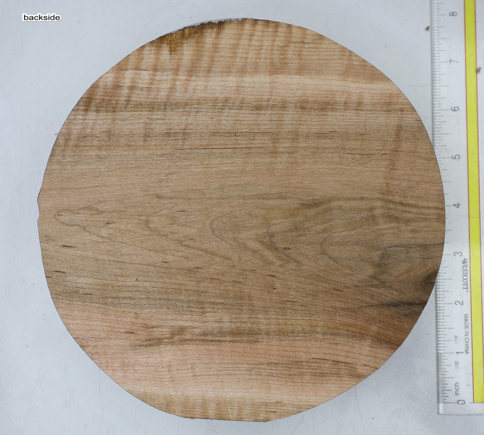 Red Maple Round 7.5" diameter x 2" - Stock# 6-7115