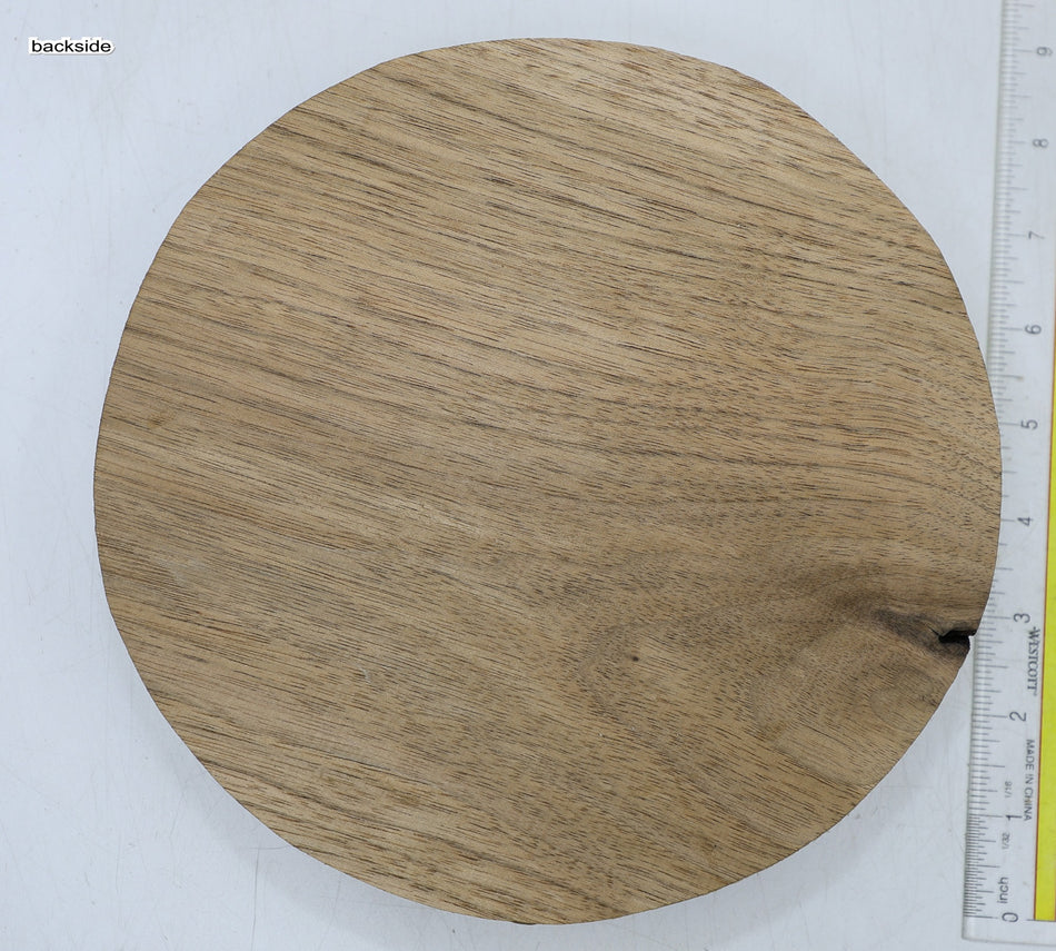 Walnut (Butternut) Round 8" diameter x 1.92" - Stock# 6-7126