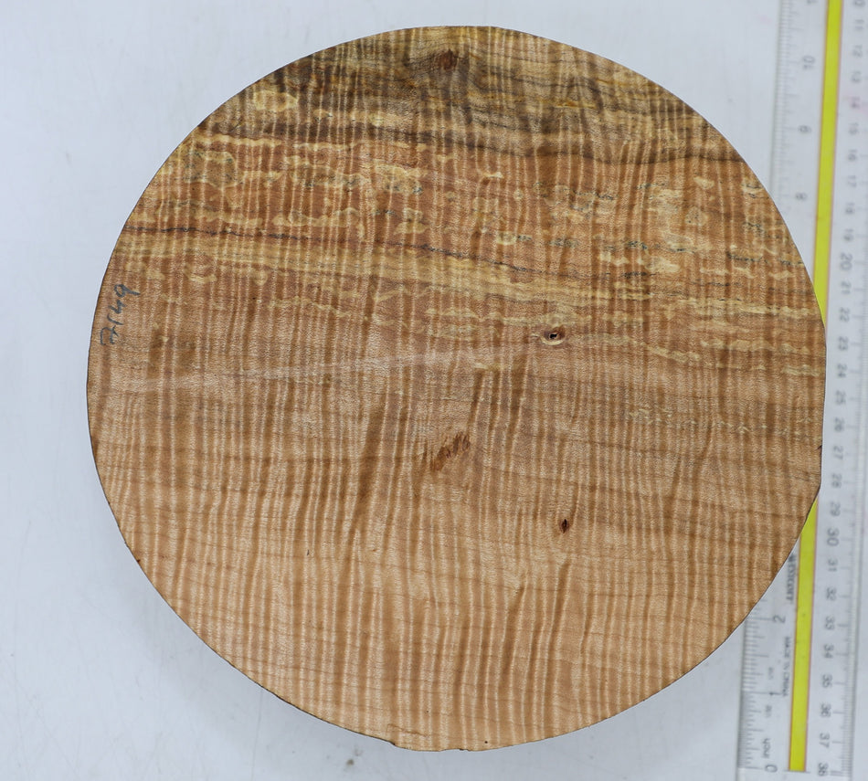 Maple Flame Round 8" diameter x 3.7" (HIGH FIGURE) - Stock# 6-7149