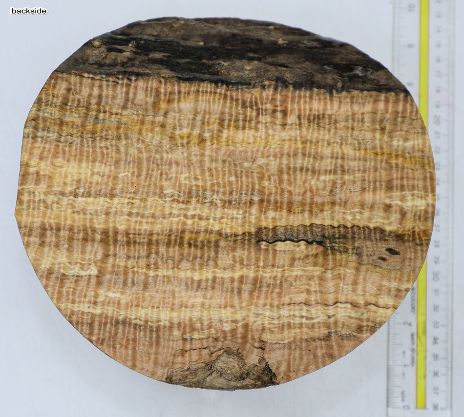 Maple Flame Round 8" diameter x 3.7" (HIGH FIGURE) - Stock# 6-7149