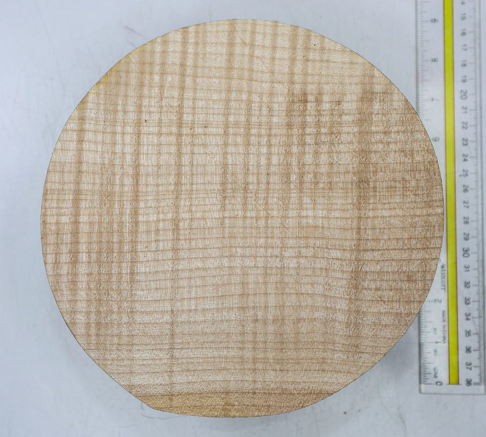 Maple Flame Round 8" diameter x 3.2" - Stock# 6-7160