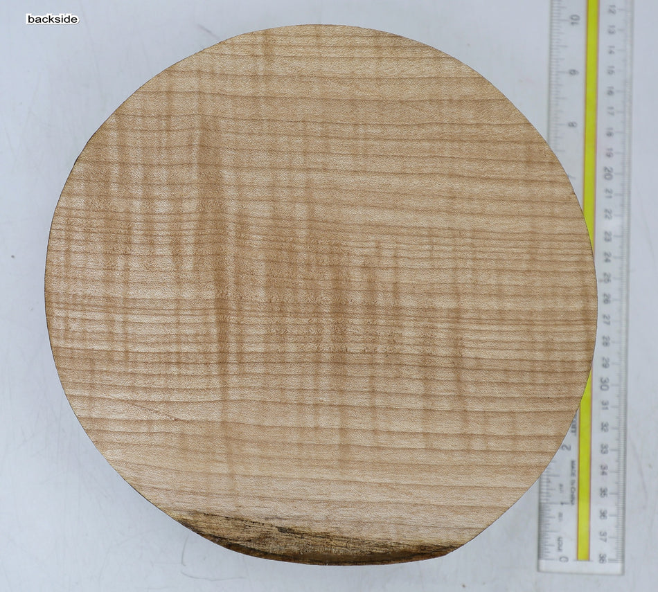 Maple Flame Round 8" diameter x 3.2" - Stock# 6-7160