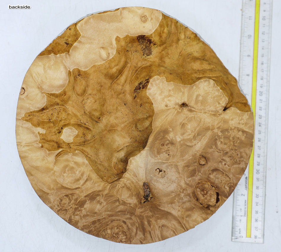 Maple Burl Round 10" diameter x 3" (GREAT FIGURE) - Stock# 6-7187