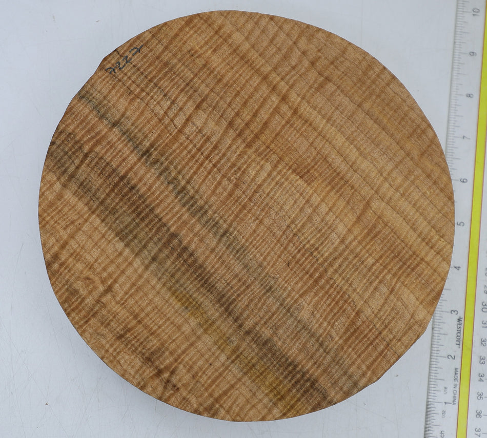 Maple Flame Round 8" diameter x 2" (HIGH FIGURE) - Stock# 6-7227