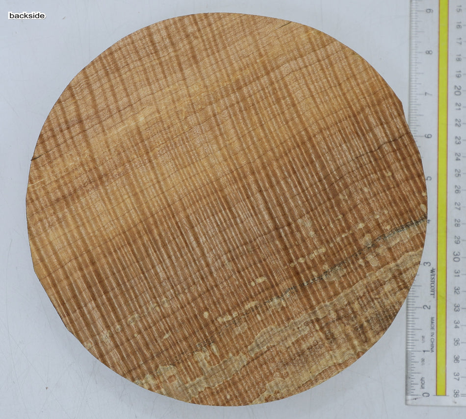 Maple Flame Round 8" diameter x 2" (HIGH FIGURE) - Stock# 6-7227