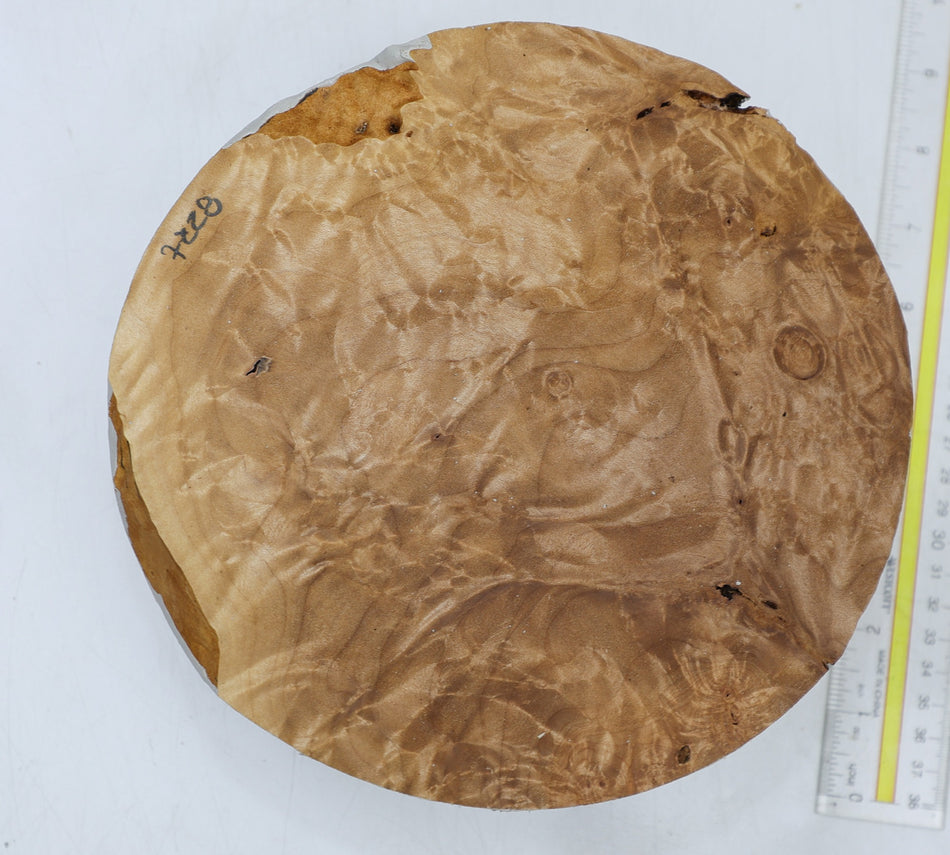 Maple Burl Round 8" diameter x 3" - Stock# 6-7228