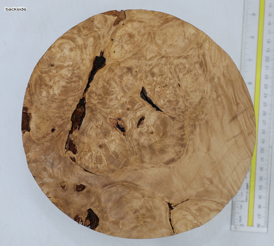 Maple Burl Round 8" diameter x 3" - Stock# 6-7228
