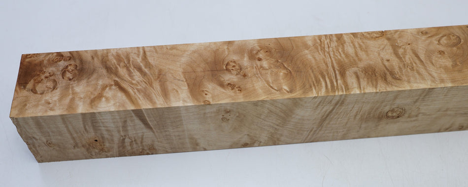 Maple Burl Spindle Square 3.1" x 22.7" long - Stock# 6-7229