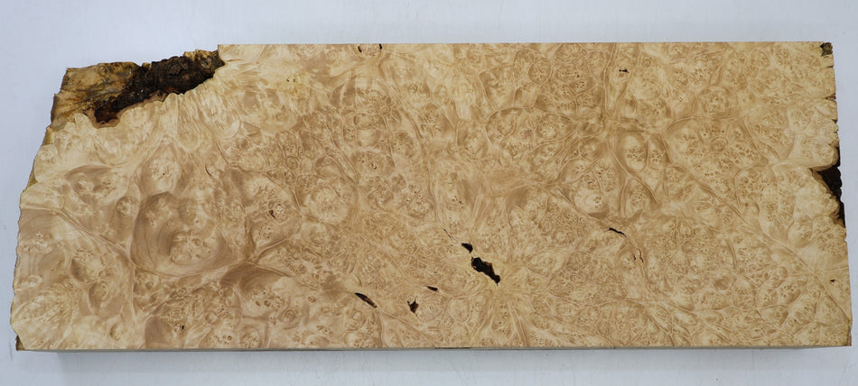 Maple Burl Block 21" x 8" x 2.8" (HIGH FIGURE) - Stock# 6-7281