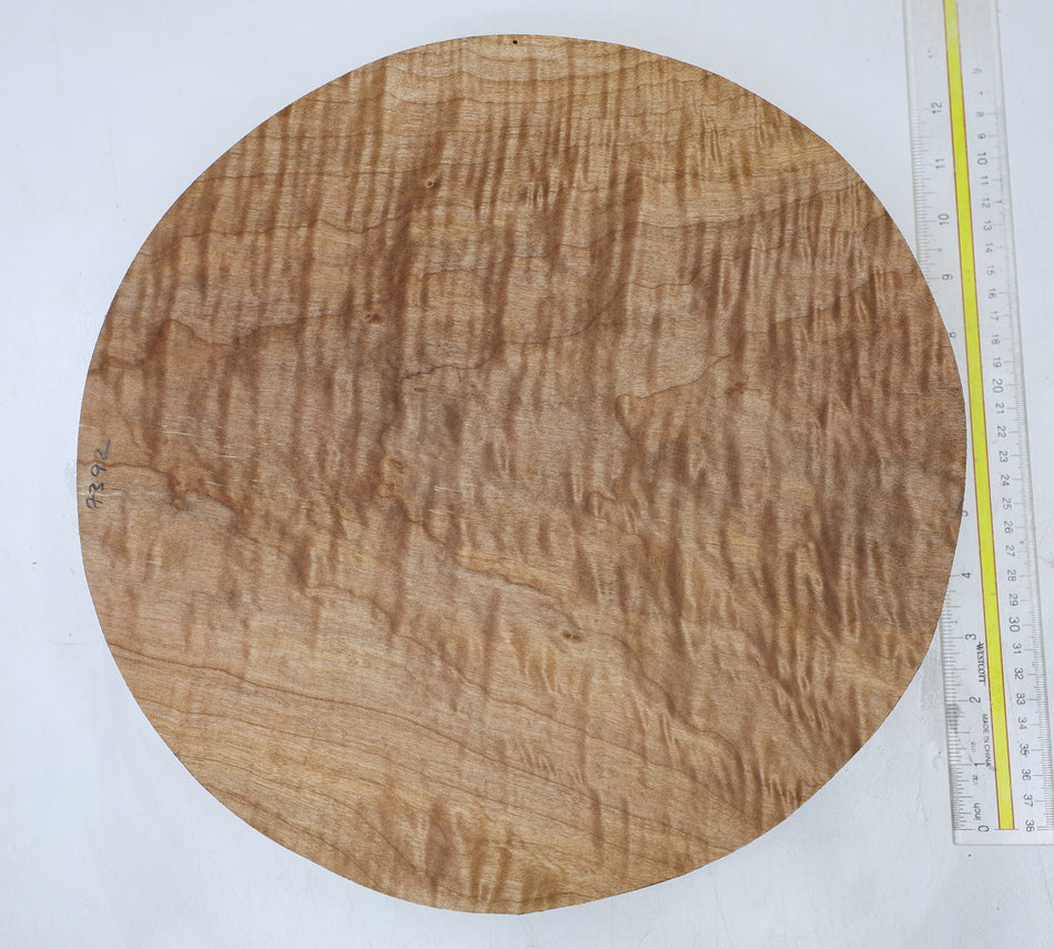 Maple Flame Round 13" diameter x 2.6" (GREAT FIGURE) - Stock# 6-7392