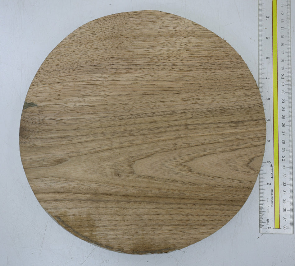 Walnut (Butternut) Round 10" diameter x 2" - Stock# 6-7402
