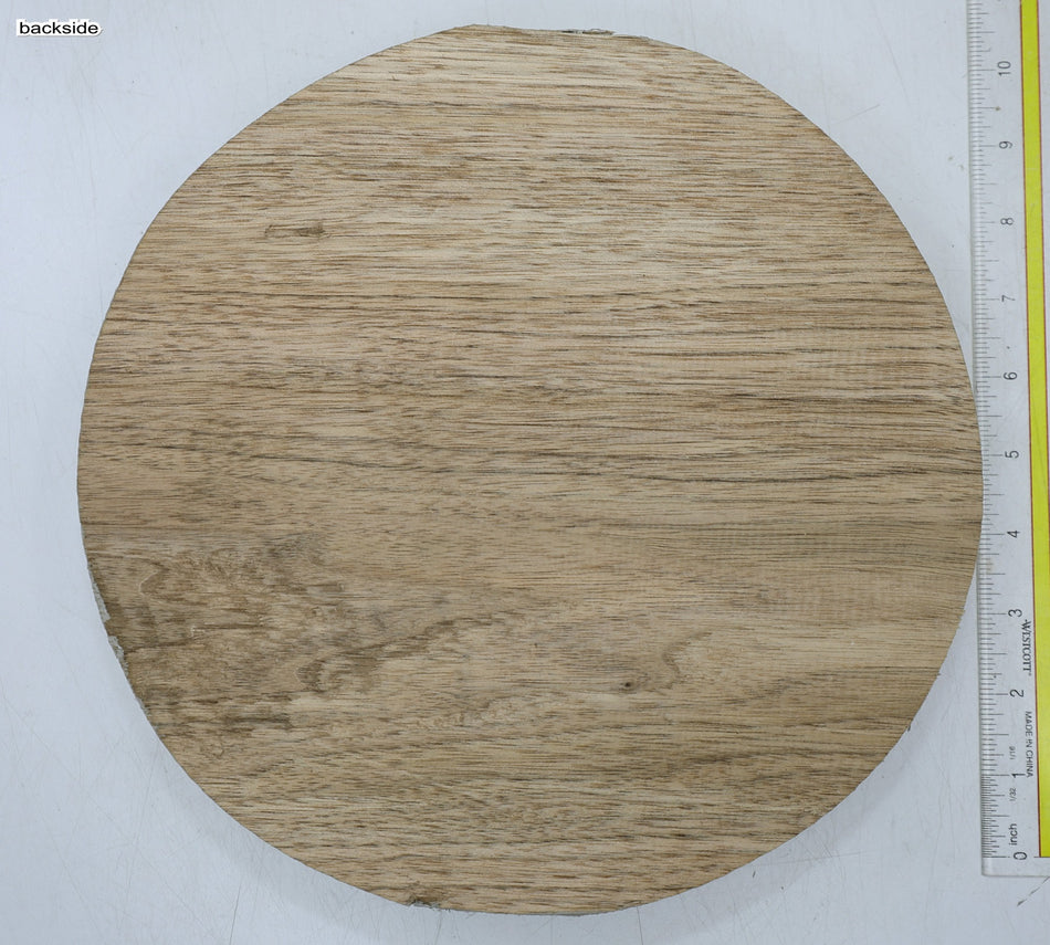Walnut (Butternut) Round 10" diameter x 2" - Stock# 6-7402
