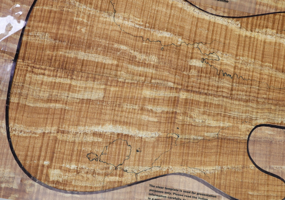 Spalted Maple Flame body blank, unglued 2pc 51 mm thick (HIGH FIGURE) - Stock# 6-7587