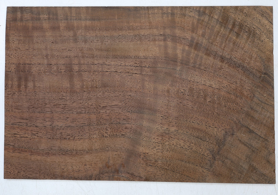 Walnut (Black) Pickguard 6 * 195 * 295 mm - Stock# 6-7850