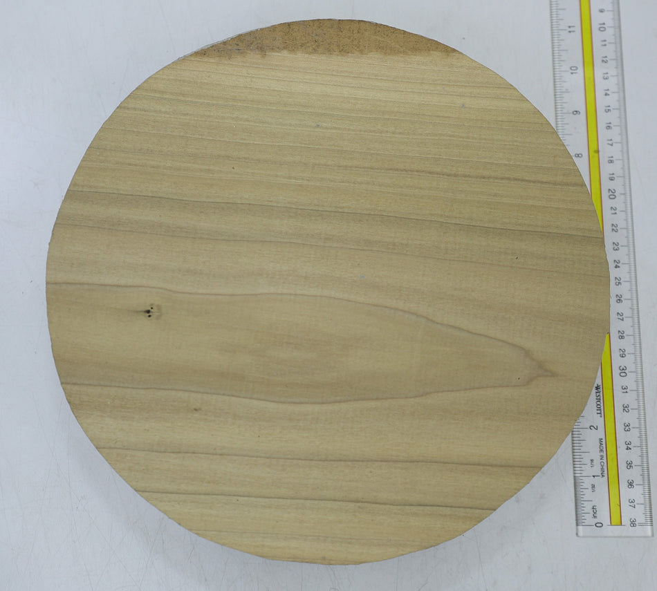 Magnolia Round 9.8" diameter x 3.7" - Stock# 6-7892
