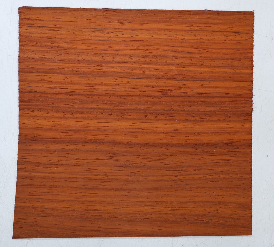 Padauk Pickguard, 3.5 * 210 * 210 mm - Stock# 6-8020