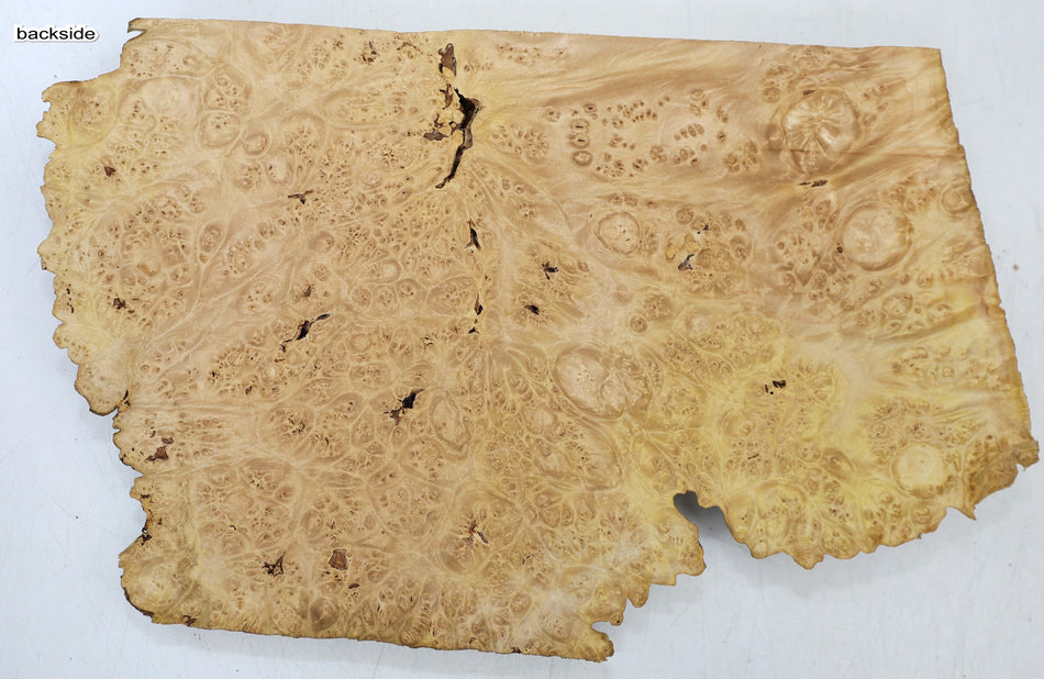Maple Burl Cap  330 * 220 * 50 mm  (HIGH FIGURE) - Stock# 6-8040