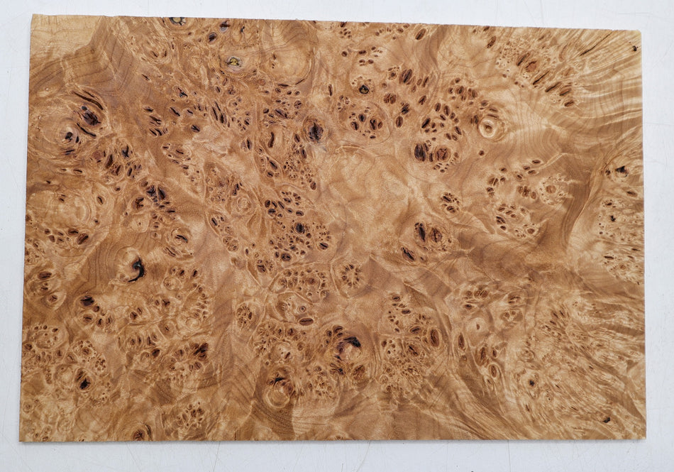 Maple Burl Pickguard, 5 * 185 * 275.mm (HIGH FIGURE) - Stock# 6-8220